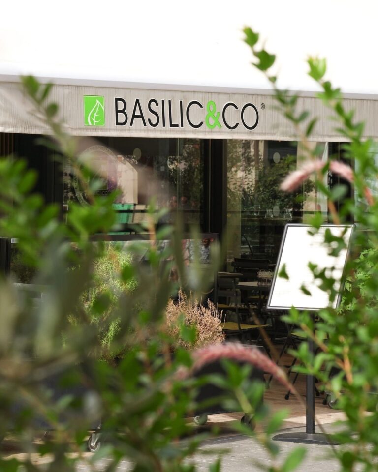 BASILIC & CO NICE   création de contenu • social media management